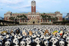 Pandalar şəhəri işğal etdi - FOTOLAR
